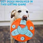 Brain Boosting Toys for Active Dogs