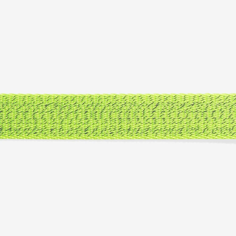NOX Lumen | Cat Collar