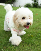 Pink Bow-3D Motif Pet Sweater