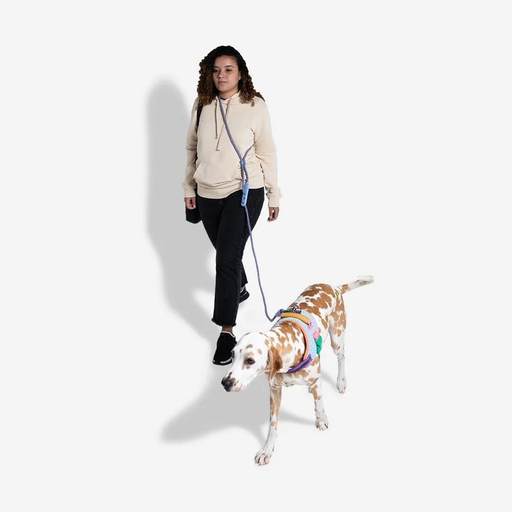 Andromeda | FlexiWalk Leash