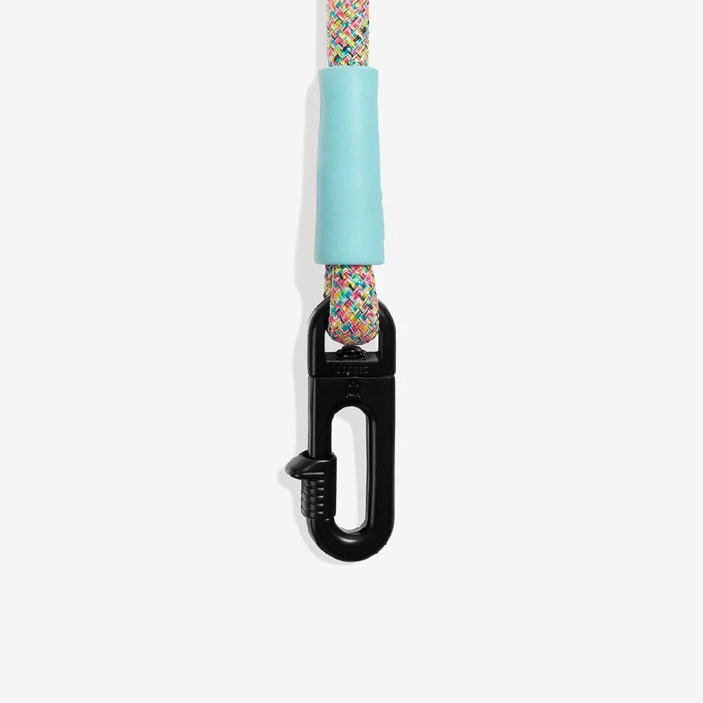 Gravity | FlexiWalk Leash
