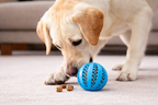 Dog Treat Dispensing Ball Toy – Interactive Puzzle Feeder for Small Dogs