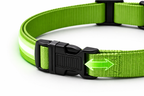 LED Dog Collar Rechargeable – Glow in the Dark Safety Collar for Night Walking